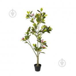 Engard Штучна рослина  Magnolia, 150 см (DW-18)
