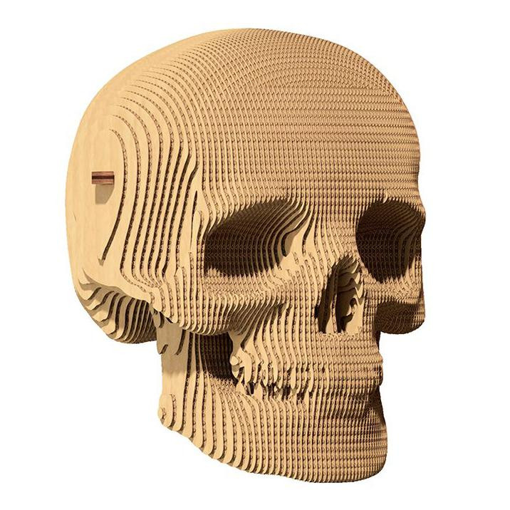 Cartonic Skull (CARTSKUL) - зображення 1