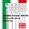 Italclima Ferrum 350/80 BM - зображення 2