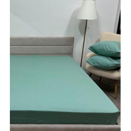   Novita Простирадло на гумці  180x200 см SB-200 Зимова Колекція Super Soft Фланель Mint Ecotton (21000244520