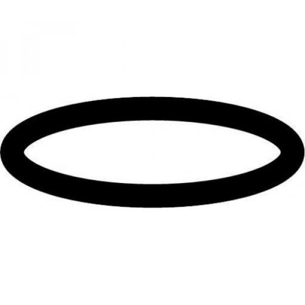 Petzl O-ring for acetylene jet (E18180) - зображення 1