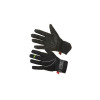 Directalpine Рукавицi Gloves  Express Plus 1.0 M Чорний (1053-54182.26.M) - зображення 1