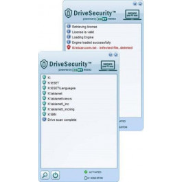 ClevX ESET DriveSecurity подписка на 1 год, SMALL BUSINESS (10 накопителей) (DS_10dev)