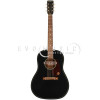 Gretsch DELTOLUXE DREADNOUGHT BLACK - зображення 1