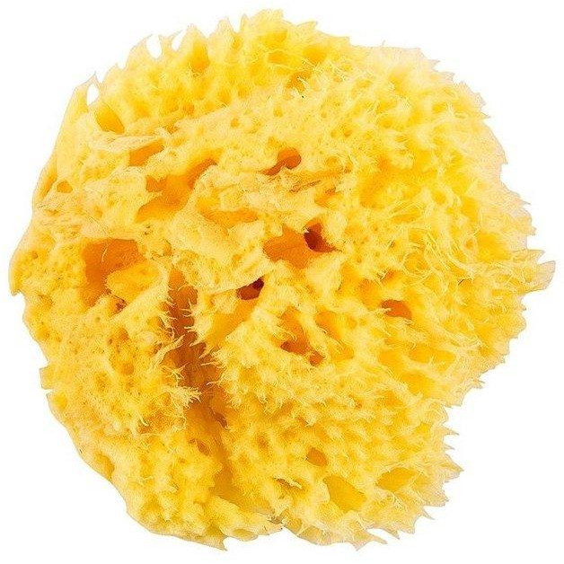 Okbaby Натуральная морская губка  Honeycomb Sea Sponge размер 12 (38471200) - зображення 1