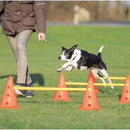 Trixie Набор препятствий - Dog Activity для собак, 30 см, 50 см, 100 см, пластик 32092