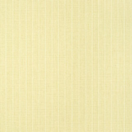   Thibaut Texture Resource 8 TWW14581