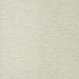   Thibaut Texture Resource 8 T14563