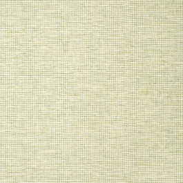   Thibaut Texture Resource 8 T14585