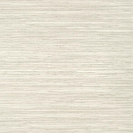   Thibaut Texture Resource 8 T14555