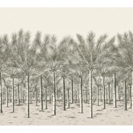   Thibaut Palm Grove TM13950