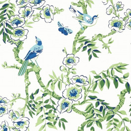 Thibaut Eden T20842