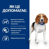 Hill's Prescription Diet Canine R/D Weight Loss 10 кг (606401) - зображення 4