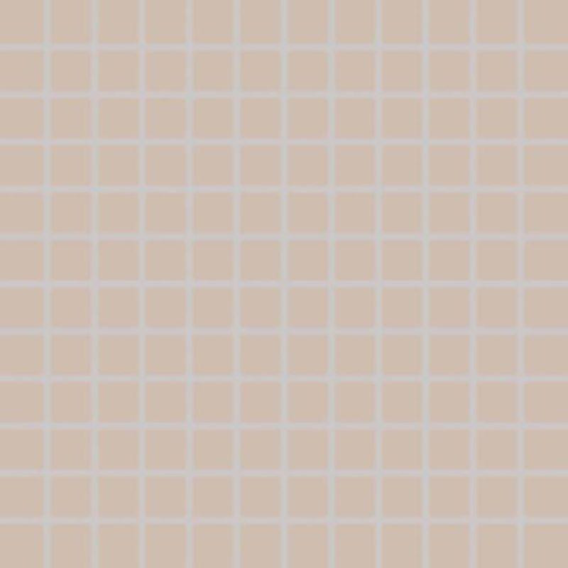 RAKO Color Two Beige Mosaic Gdm02108 2,5*2,5/30*30 Мозаїка - зображення 1