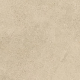   Paradyz AUTHORITY BEIGE GRES REKT. MAT 120x120