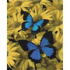 STRATEG Картина за номерами Пара метеликів на кольоровому фоні розміром 40х50 см (SY6460) SY6460. - зображення 1