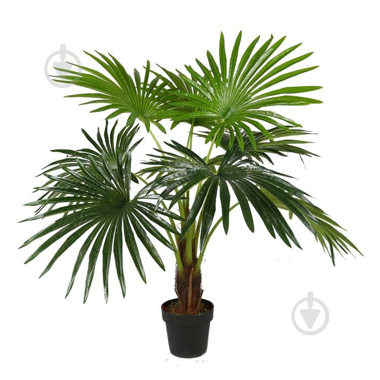 Engard Штучна рослина  Fan Palm, 120 см (DW-27) - зображення 1