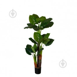 Engard Штучна рослина  Taro , 170 см (DW-06)