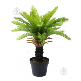 Engard Штучна рослина  Cycas Palm, 60 см (DW-24)