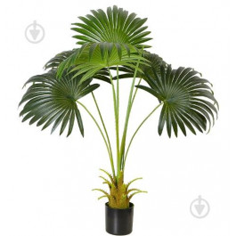   Engard Штучна рослина  Fan Palm, 95 см (DW-26)