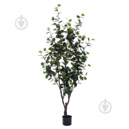 Engard Искусственное растение Eucalyptus 180 cм  (TW-15)