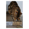 Croci ANIMALIER Leopard (C6021538) - зображення 5