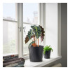IKEA CITRONMELISS Горщик для рослин, кімнатний/антрацитовий/вуличний, 19 см (205.625.08) - зображення 5