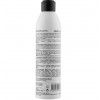 PROFIStyle Міцелярний шампунь  Detox антизабруднювальний та антиоксидантний ефекти 250 мл (4820003291603) - зображення 2