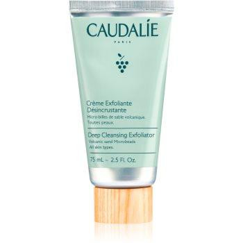 Caudalie Cleaners & Toners Пілінг для шкіри обличчя для глибокого очищення шкіри 75 мл - зображення 1
