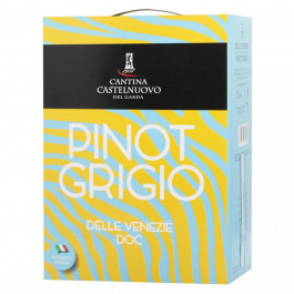 Castelnuovo Вино  Pinot Grigio 3 л сухе тихе біле (8003373167495)