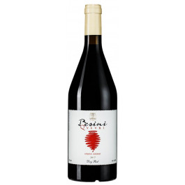 Besini Вино  Qvevri Red 0,75 л сухе тихе червоне (4860113010138)