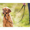 Trixie Намордник Top Trainer для собак нейлоновый, L (13004) - зображення 1