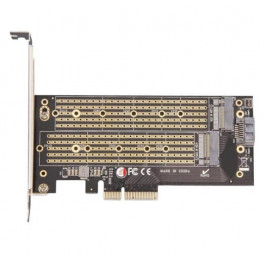Frime ECF-PCIE2.4sRAID002.LP