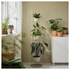 IKEA DAKSJUS Підставка для рослин з 3 горщиками, кімнатна/зовнішня, світло-сіро-бежева (205.670.25) - зображення 4