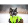 Airy Vest Двусторонняя курточка для собак для маленьких собак XS 22 Красно-черная (1700) - зображення 6