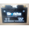 Skyrich YT9B-BS - зображення 1