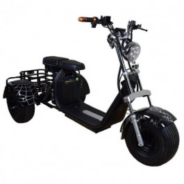  Renegade Tricycle 1500