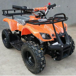    Pocket ATV 2T 65