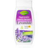 Bione Cosmetics Lavender відновлюючий шампунь для всіх типів волосся  260 мл - зображення 1