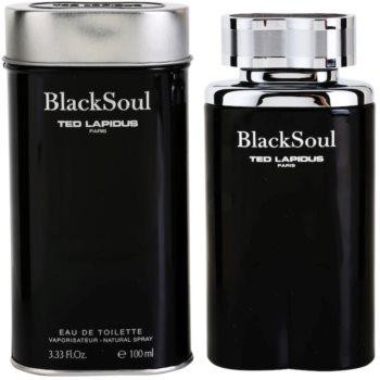 Ted Lapidus Black Soul Туалетная вода 100 мл - зображення 1