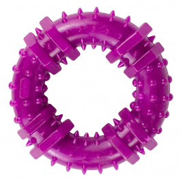 Agility Іграшка для собак  кільце 12 см фіолетове (PI0075)