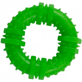 Agility Іграшка для собак  кільце 12 см зелене (PI0073)