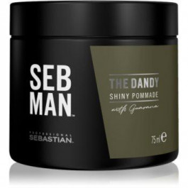 Sebastian Professional SEB MAN The Dandy помада для волосся для природньої фіксації 75 мл