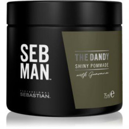   Sebastian Professional SEB MAN The Dandy помада для волосся для природньої фіксації 75 мл