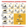 Royal Canin Sphynx Adult 2 кг (2556020) - зображення 6