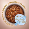 Клуб 4 лапи Premium Selection Slices Dog Salmon Mackerel in Gravy 85 г (4820215368056) - зображення 2