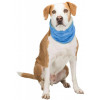 Trixie Охлаждающая бандана  XL для собак, 47–57 cм, синий (TX-30139) - зображення 3