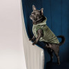 Pet Fashion Жилет для собак  «LOUIS» XS2 (PR242752) - зображення 2