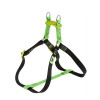 Ferplast EASY COLOURS S HARNESS GREEN Шлейка для собак, зеленая, А-В 35-53 см х 10 мм (75560903) - зображення 1