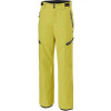 Rehall Гірськолижні штани чоловічі  Hirsch 2020 mustard (50666) XL - зображення 1